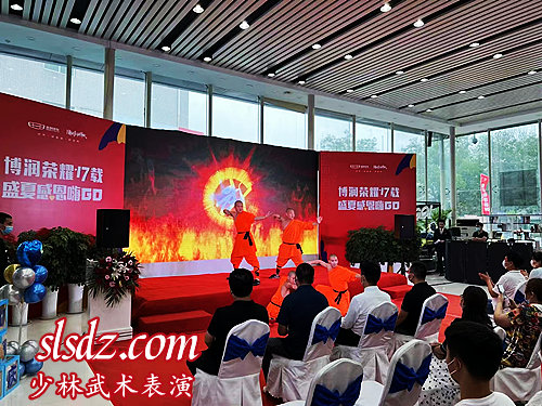 全球少林武术表演2022之郑州站Global Shaolin Kung Fu Show 2022 in Zhengzhou