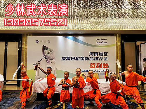 少林寺武术表演/嵩山少林寺武术表演郑州站(3)Shaolin Temple Kung Fu Show/Songshan Shaolin Temple Kung Fu Show Zhengzhou Station(3)